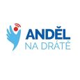 Anděl na drátě